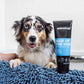 Dog with a tube of Animology shampoo on a towel
