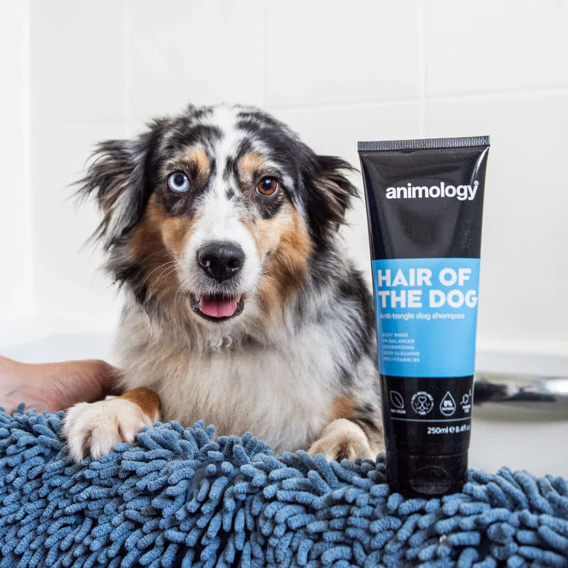 Dog with a tube of Animology shampoo on a towel