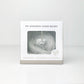 Pet memorial glass bauble in packaging with paw print design on a white background