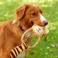 dog playing with beco tiger rope dog toy
