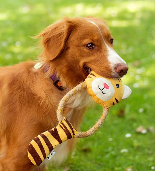 dog playing with beco tiger rope dog toy