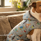 Woman petting a dog wearing a patterned coat in a cozy living room.