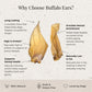 An informational graphic titled 'Why Choose Buffalo Ears?' showing two dried buffalo ear treats on a light textured background with callout text describing benefits such as long lasting, high in protein, provides mental enrichment, supports dental health, and naturally low in fat.