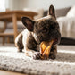 Dog chewing on a buffalo ear in a living room setting