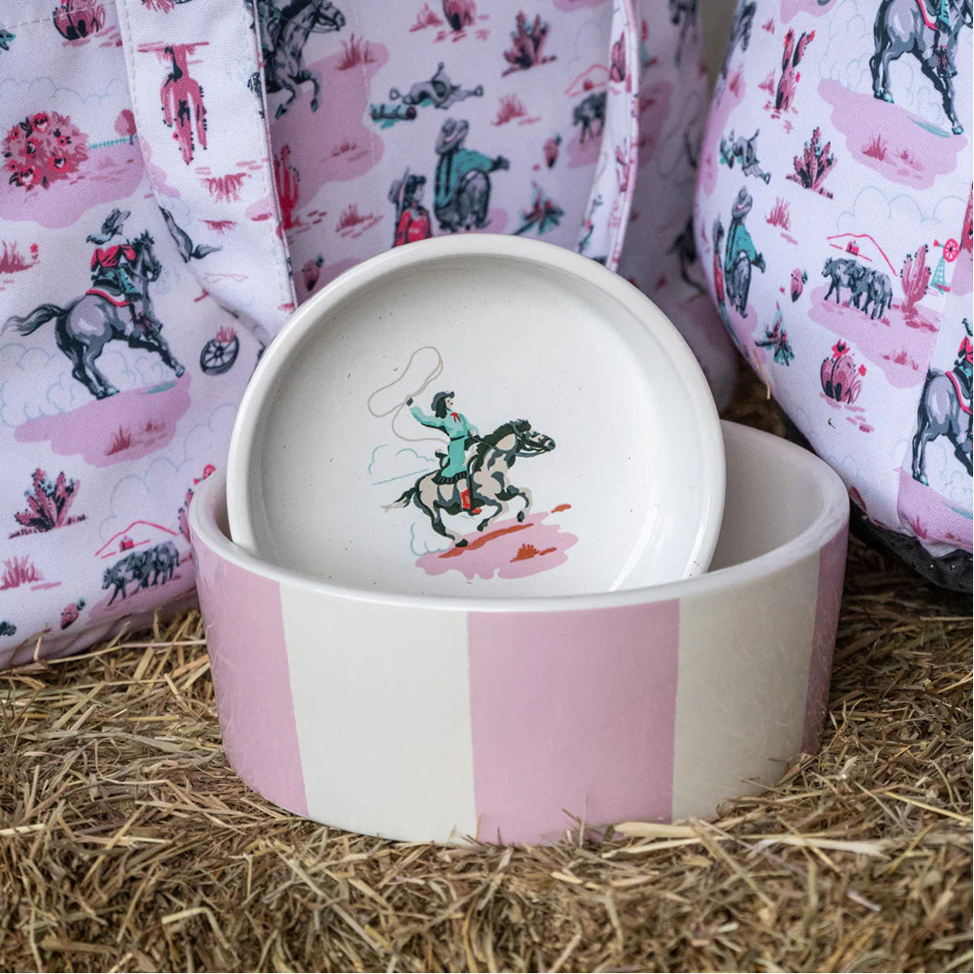pink striped pet bowl with cowgirl print
