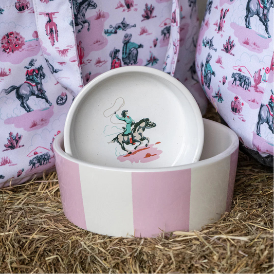 pink striped pet bowl with cowgirl print