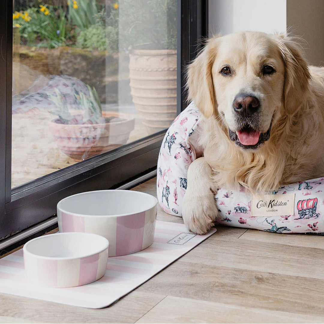 Dog lying on a patterned dog bed next to two pink cath kidston ceramic bowls in a home setting.
