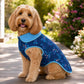 Cath Kidston® Greenwich Flowers Reversible Puffer Dog Coat – Blue Floral Dog Jacket | Warm Dog Coat UK