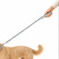 Dog on a leash being walked by a person on a white background