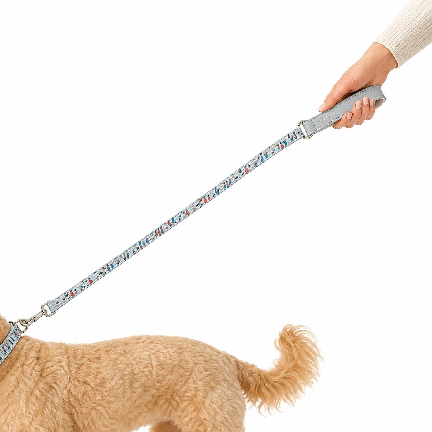 Dog on a leash being walked by a person on a white background