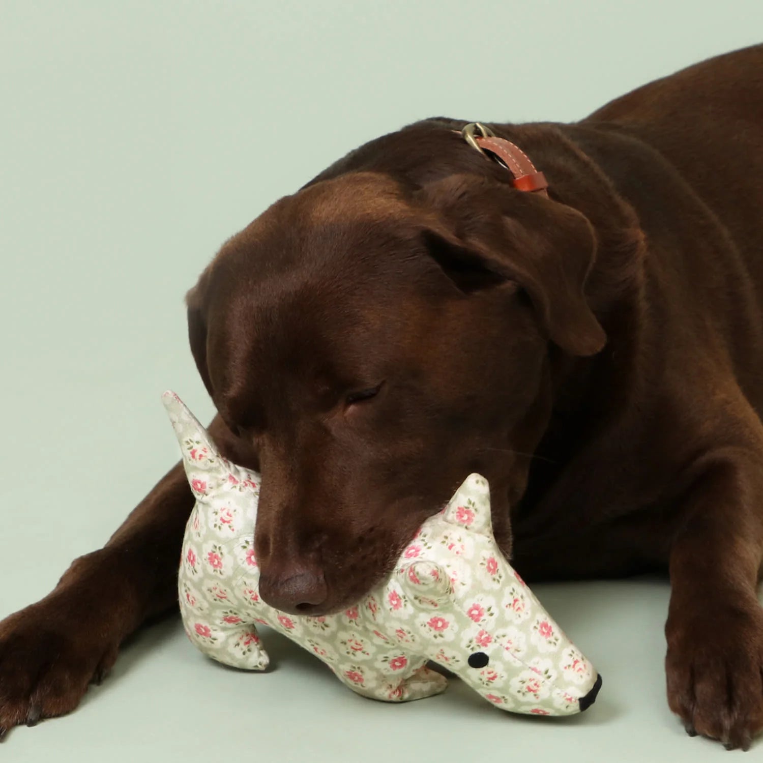 Dog Canvas Toy | Dog Cotton Toy | Poochella®