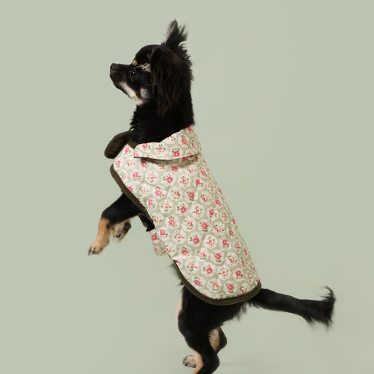 Dog wearing Cath Kidston Provence Rose floral dog coat