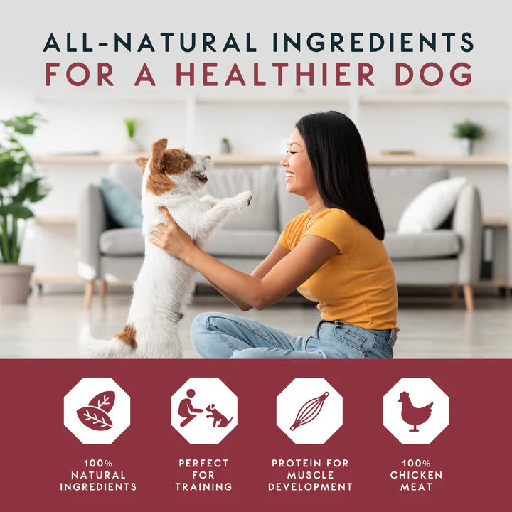 Woman holding a dog in a living room with text about all-natural ingredients for a healthier dog.