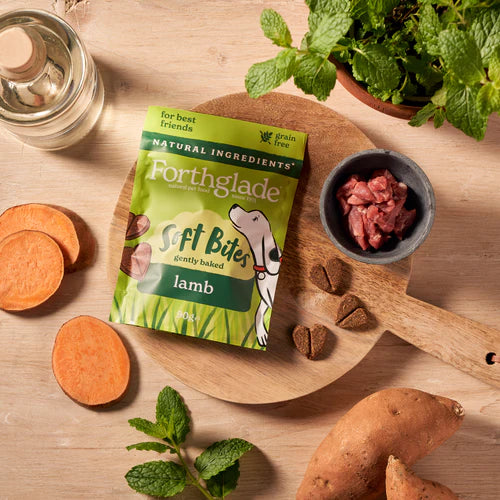 Forthglade Grain Free Soft Bite Dog Treats Lamb with Botanicals | Natural Training Treats