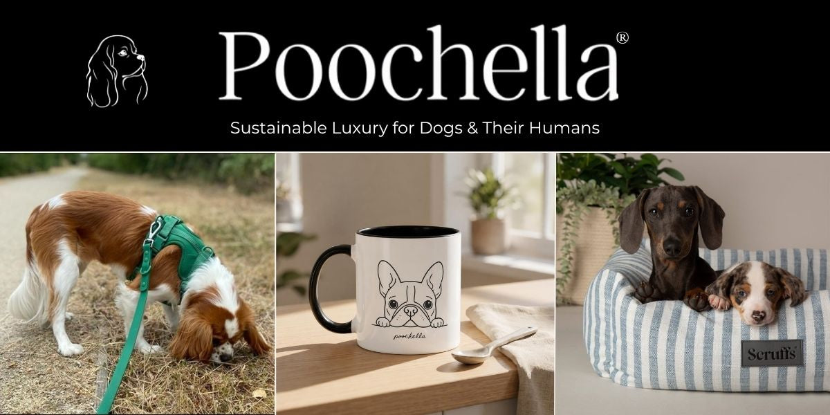 Promotional image for Poochella featuring a dog, mug, and pet bed.