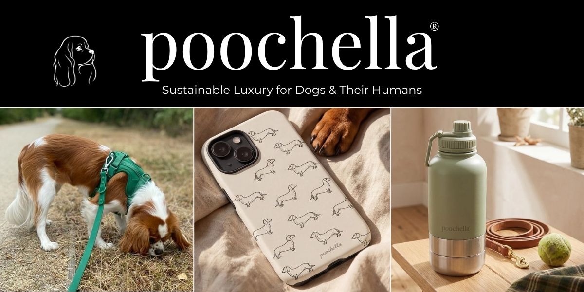 A promotional collage for poochella, featuring the brand name and logo on a black background above three lifestyle product photos: a brown and white dog wearing a green harness on a leash, a phone case printed with small dog silhouettes, and a stainless steel water bottle in a warm indoor setting.