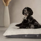 Dog lying on a textured pet bed with a vase in the background