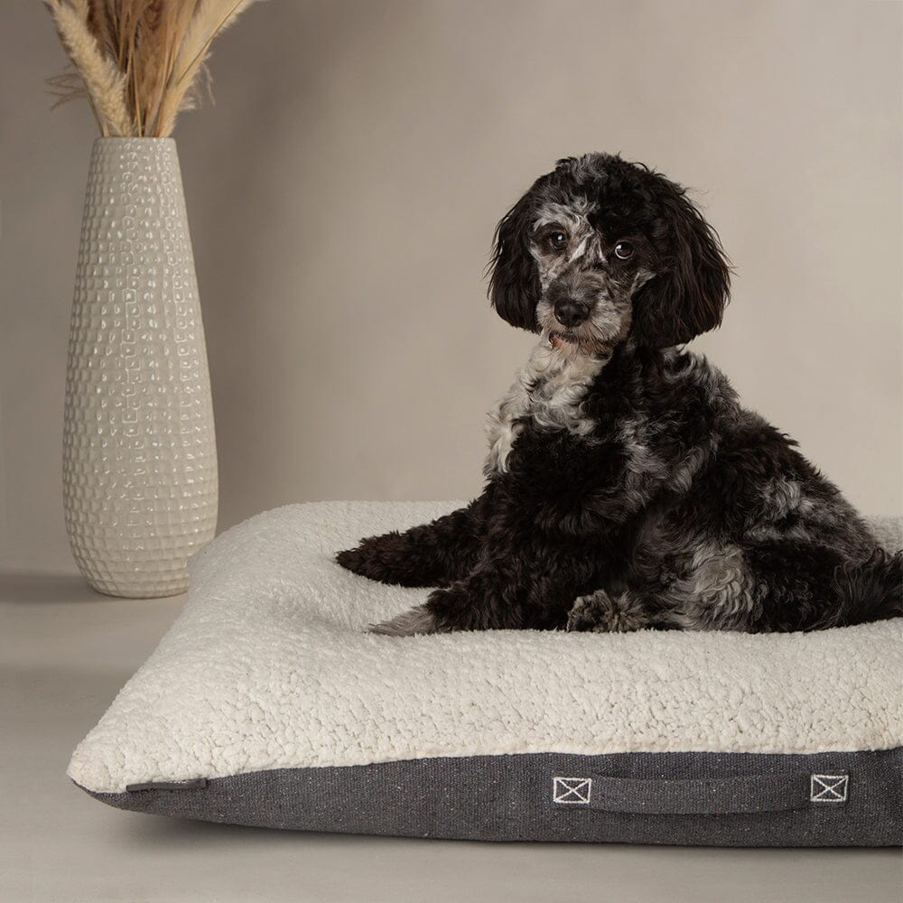 Dog lying on a textured pet bed with a vase in the background
