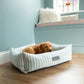 Dog lying on a striped pet bed in a room with light blue walls and wooden flooring.