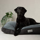 Black dog lying on a gray dog bed with 'Scruffs' branding, indoor setting.