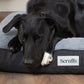 Black dog resting on a Scruffs branded pet bed.