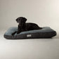 Dog lying on a gray and black dog bed with 'Scruffs' branding against a beige background