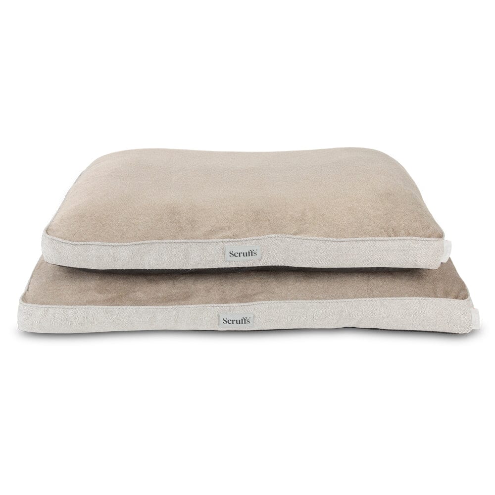 Two pet beds with 'Scruffs' branding on a white background
