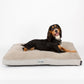 Dog lying on a beige Scruffs dog bed against a white background