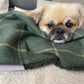 Arlo Forest Green Reversible Lambswool Sherpa Handmade Dog Blanket | The Artisan Dog Company