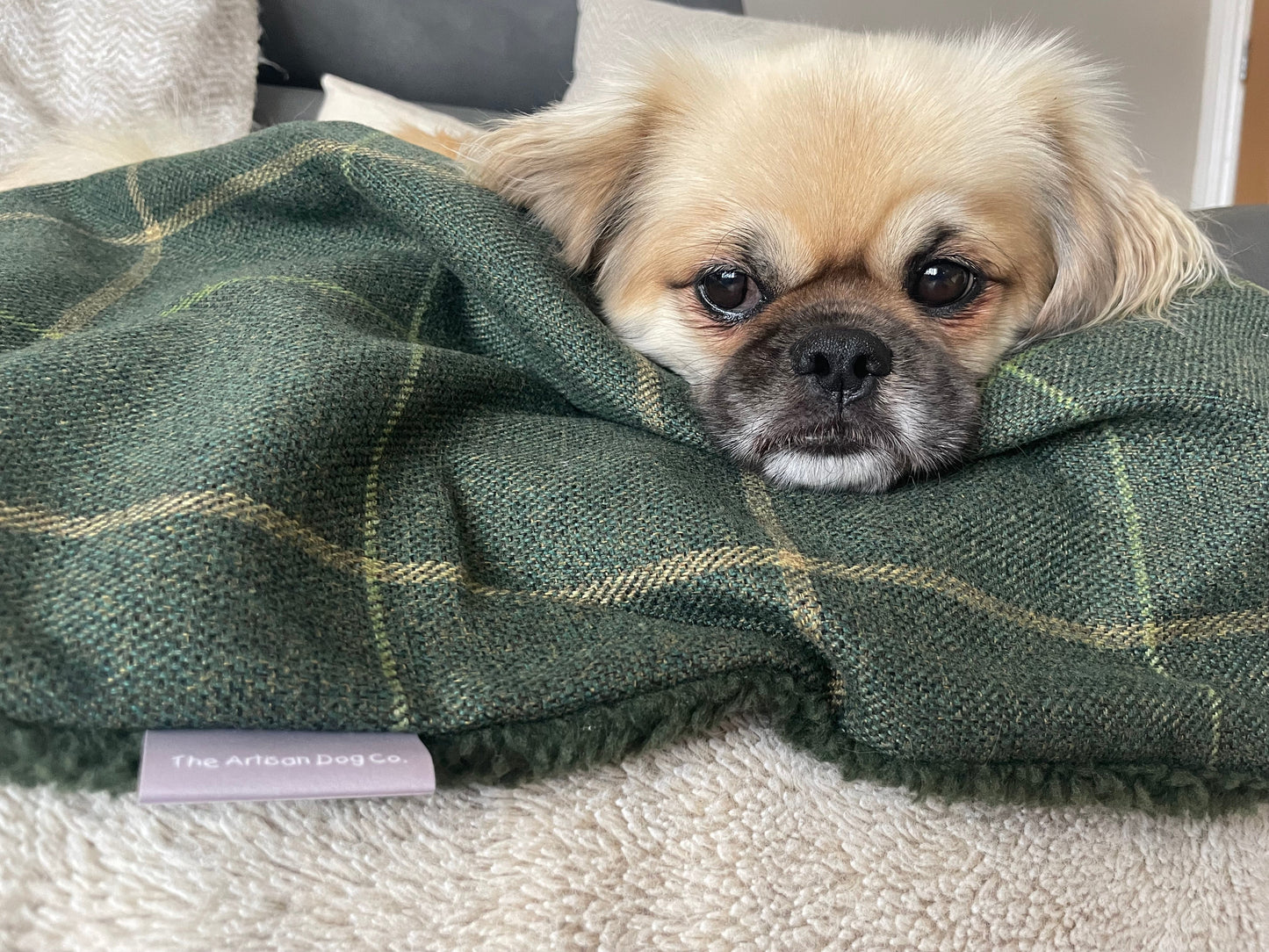 Arlo Forest Green Reversible Lambswool Sherpa Handmade Dog Blanket | The Artisan Dog Company