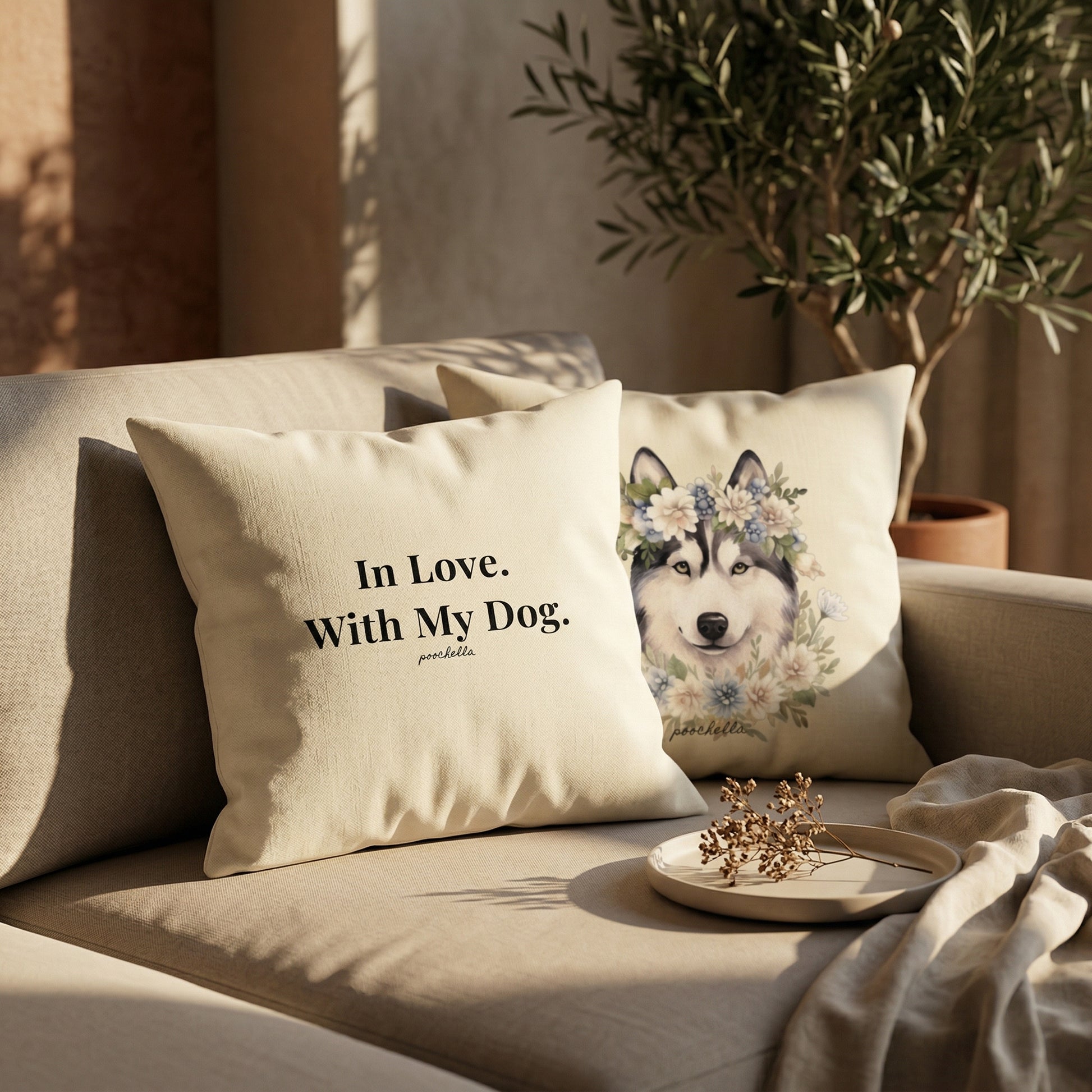 matching cushion set on sofa