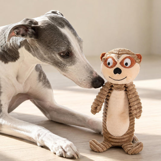Dog interacting with a plush meerkat dog toy on a wooden floor