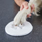Dog paw pressing into white clay pad on a dark surface
