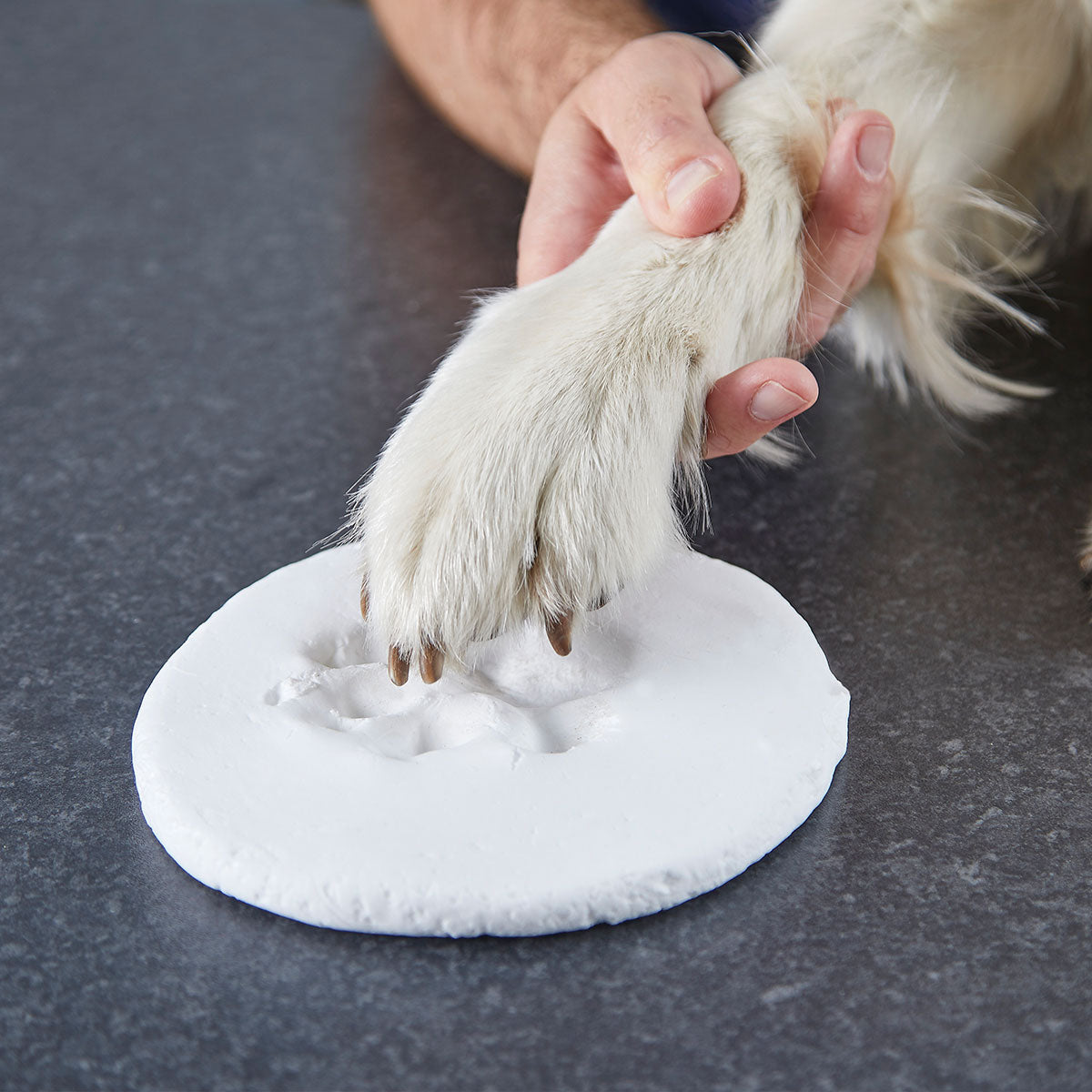 Dog paw pressing into white clay pad on a dark surface