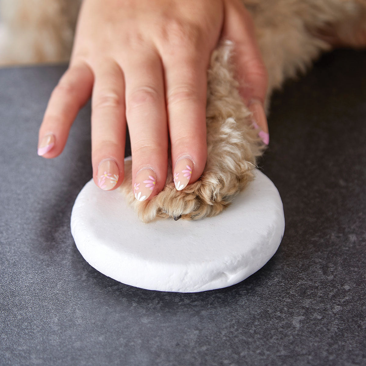 Small dog paw being held by a hand on a white clay with a dark background