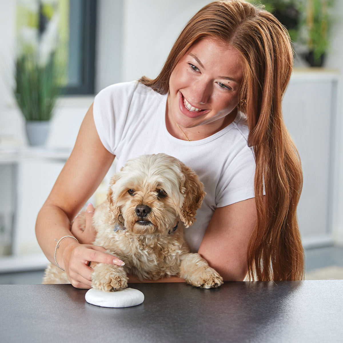 Woman holding a small dog on a table with a blurred indoor background