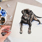 Unframed custom dog portrait painted in watercolour from a photograph
