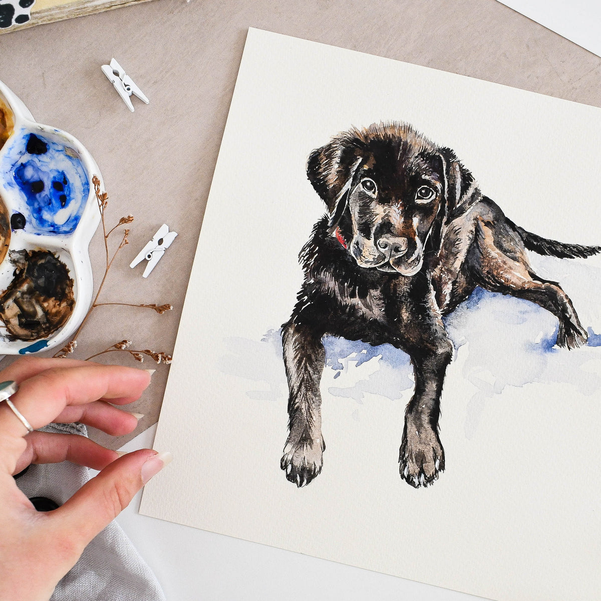 Unframed custom dog portrait painted in watercolour from a photograph