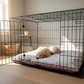 Dog lying inside a black metal dog crate in a room with a light-colored floor and walls.