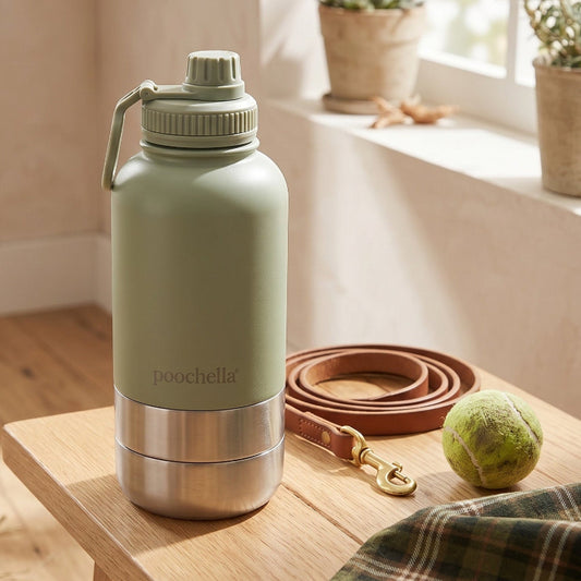 Green insulated bottle on a wooden table with a plaid towel and dog accessories.