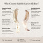 An informational graphic for a dog chew treat, titled 'Why Choose Rabbit Ears with Fur?'. It shows two rabbit ears on a textured off-white background with text callouts highlighting benefits such as dental health, mental enrichment, high protein content, and low fat.