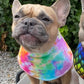 Sew Fetching Cooling Tie Dye 90's Style Hand Made Dog Bandana