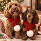 Two small dogs sitting together on a cozy holiday rug, each wearing a red crocheted scarf with a white pom-pom. The scene is decorated with Christmas lights, wrapped gifts, and a fireplace in the background.