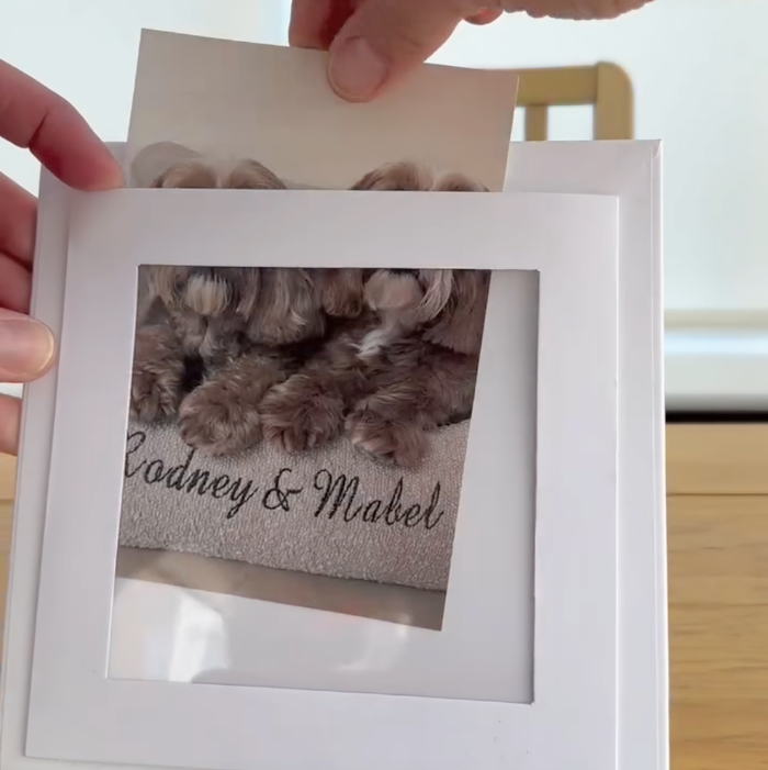 White photo album with a cutout showing two puppies named Rodney and Mabel.