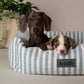 2 cute dogs in a striped blue and white nautical dog bed