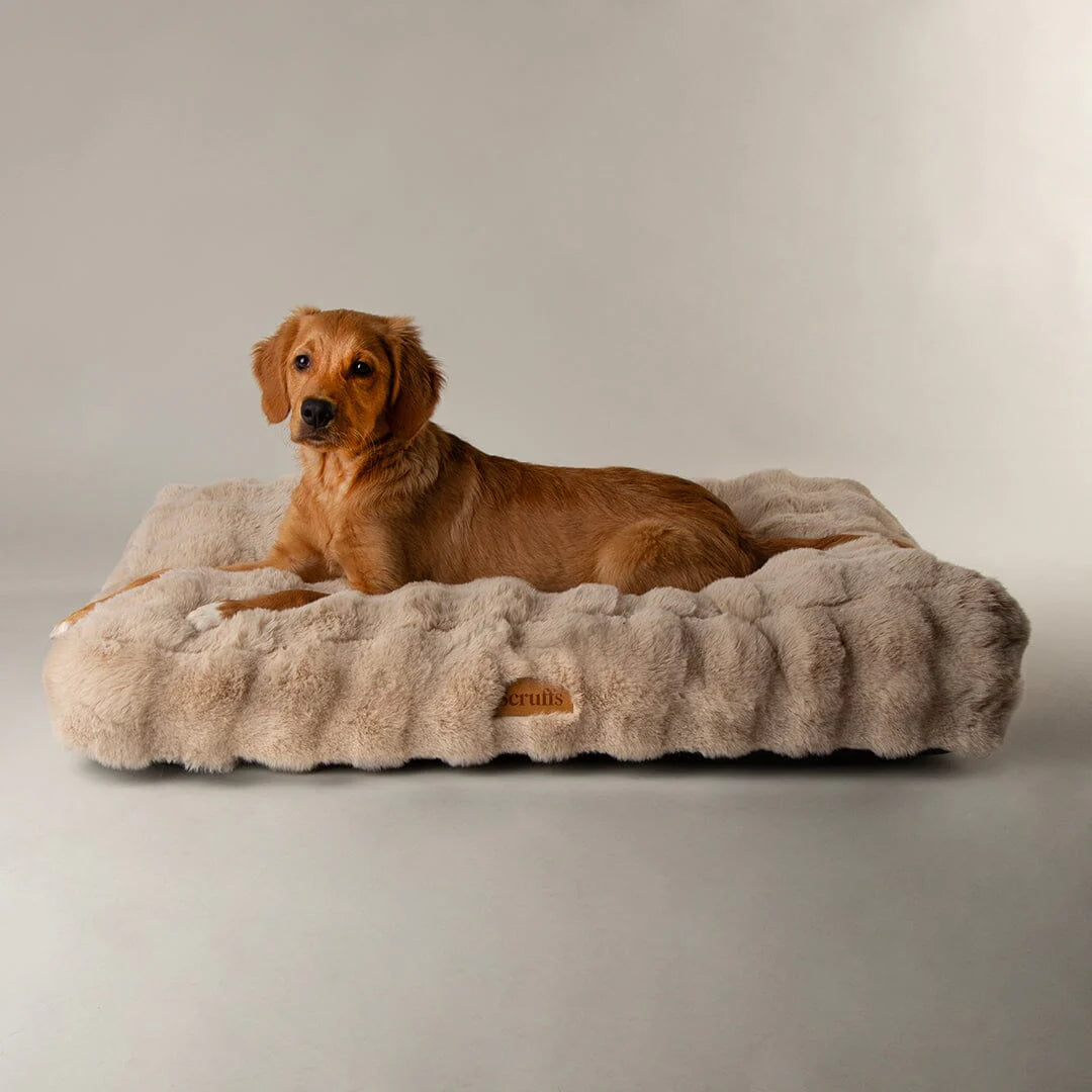 Dog laying on beige faux fur pet mattress