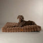 Dog lying on a brown plush dog bed against a neutral background