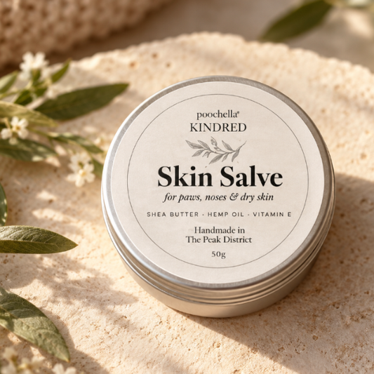 A round silver tin of poochella KINDRED Skin Salve sits on a textured beige stone surface, surrounded by small white flowers and green leaves in warm natural light.