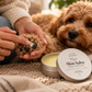 A person applies a dark balm to a small dog's paw while the dog rests nearby, with an open round tin of paw care skin salve in the foreground on a cozy blanket.