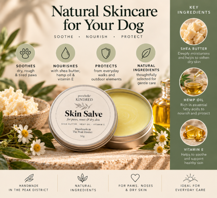 A round tin of Poochella Kindred Skin Salve for dogs is displayed on a rustic wooden surface with white flowers and a green informational panel. The tin contains pale yellow balm, and the graphic includes text highlighting key ingredients like shea butter, hemp oil, and vitamin E.